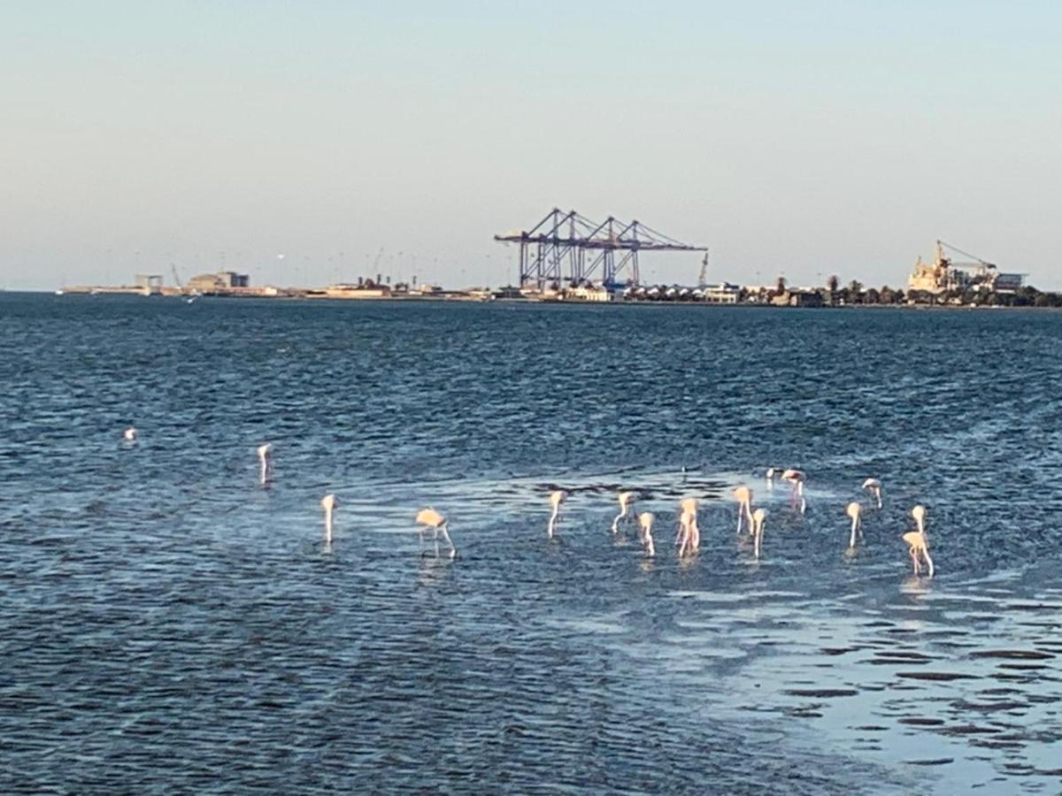 Mukulela Acomodação com café da manhã Walvis Bay Exterior foto